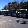 しかはま昭後援会主催　成田山初詣