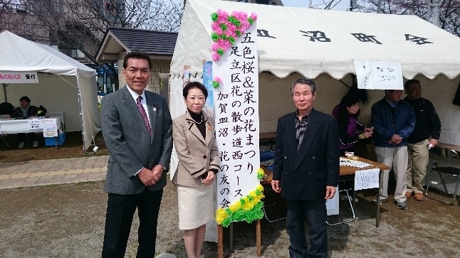 皿沼公園五色桜＆菜の花まつり