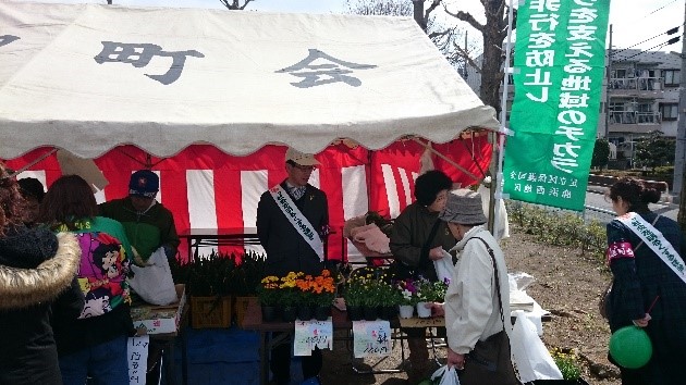皿沼公園五色桜＆菜の花まつり