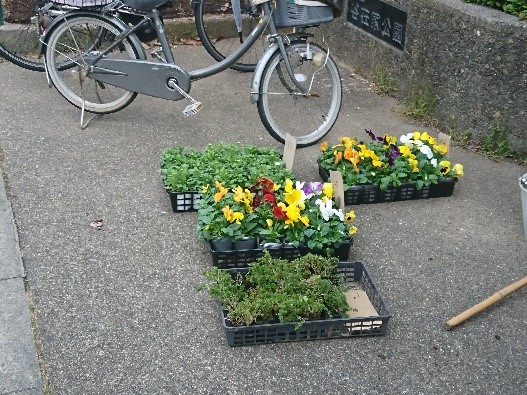 押部町会　花の散歩道