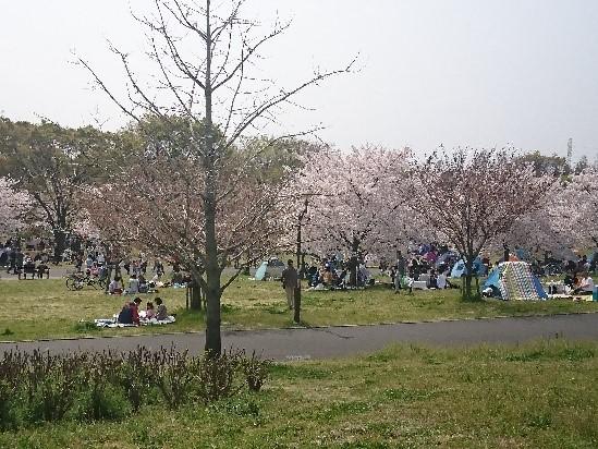 千本桜まつり